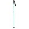 Goode Carbron Neutral Ski Poles | Sea Foam Green | 44-54" -The Ski Equip Shop USG GOODE
